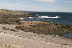 View of the South Atlantic Ocean from the colony