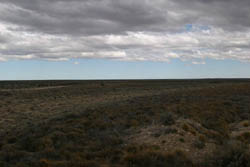 The waste land of northern Patagonia, from Ruta 3